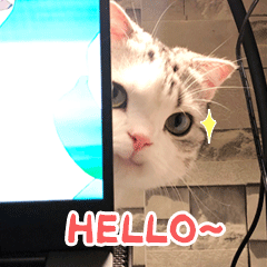 香香软软的小泡芙 messages sticker-9