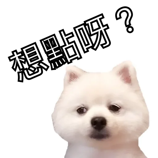 GG MarDog messages sticker-0