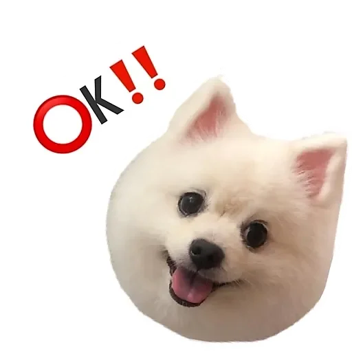 GG MarDog messages sticker-9