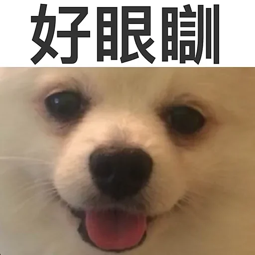 GG MarDog messages sticker-11