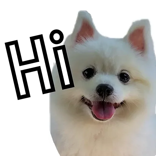 GG MarDog messages sticker-4