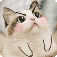情话猫 messages sticker-1