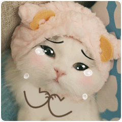 情话猫 messages sticker-9