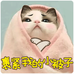 情话猫 messages sticker-2