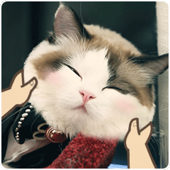 情话猫 messages sticker-0