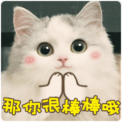 情话猫 messages sticker-11
