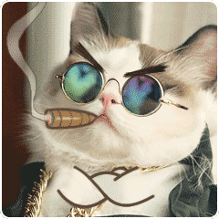 情话猫 messages sticker-5