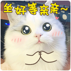 情话猫 messages sticker-10