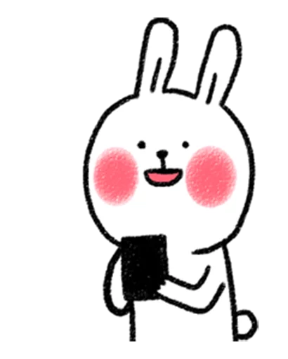 DIYRabbit messages sticker-1