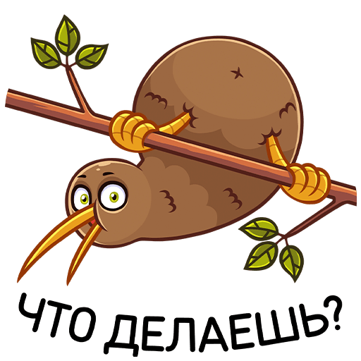 Киви Стиви наклейка messages sticker-5