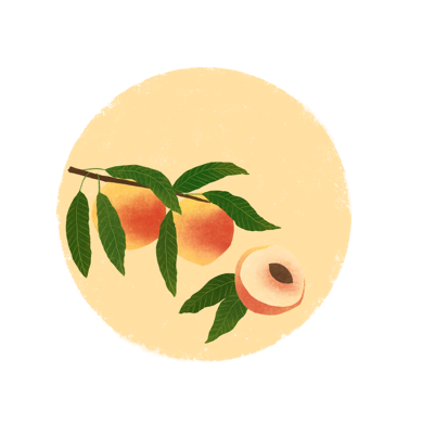 蟠桃视界 messages sticker-6