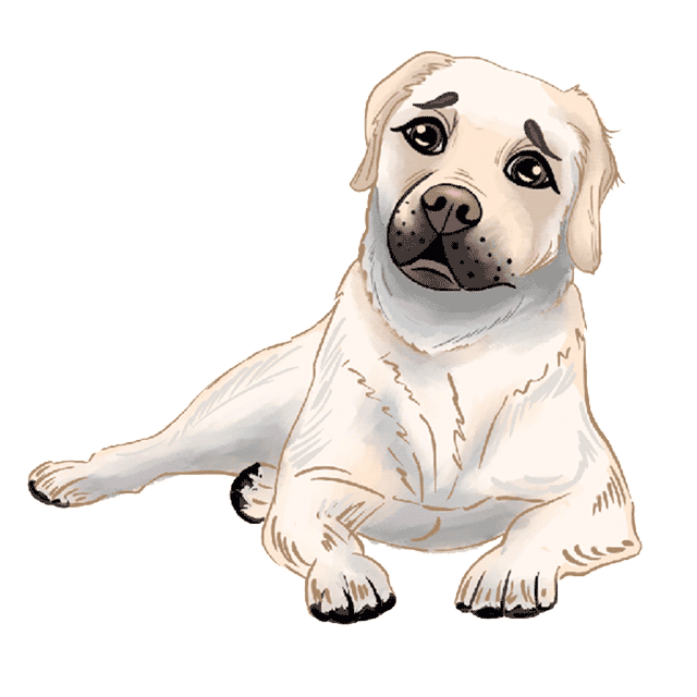 Jamie and Percy - Lab brothers messages sticker-6