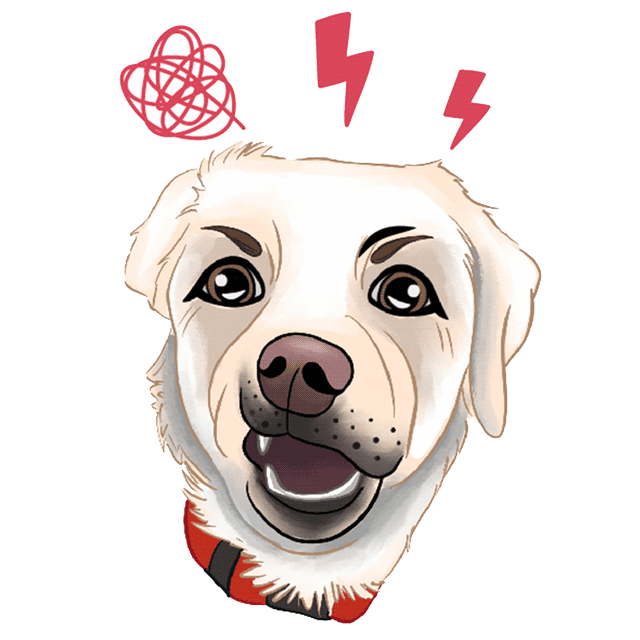 Jamie and Percy - Lab brothers messages sticker-9