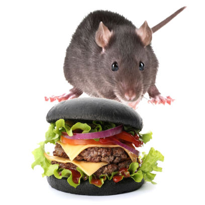 Burger Rats messages sticker-1