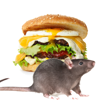 Burger Rats messages sticker-3