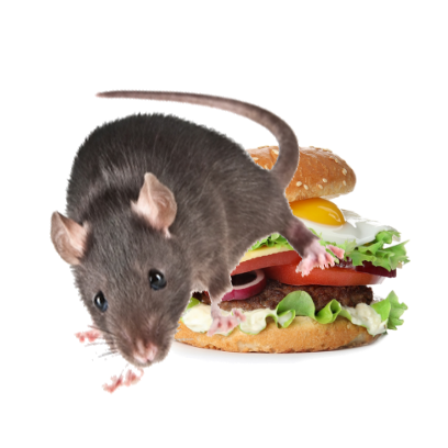Burger Rats messages sticker-6