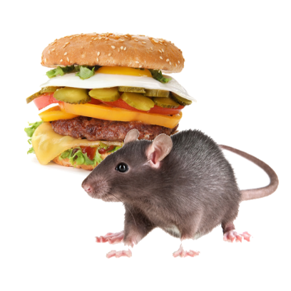 Burger Rats messages sticker-10