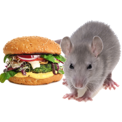 Burger Rats messages sticker-4