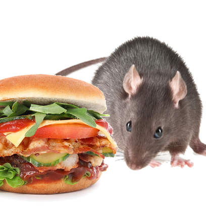 Burger Rats messages sticker-8
