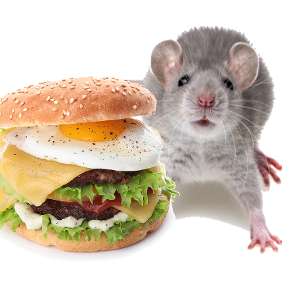 Burger Rats messages sticker-9