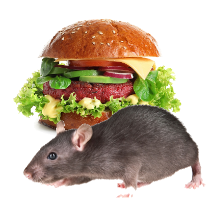Burger Rats messages sticker-5
