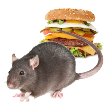 Burger Rats messages sticker-11
