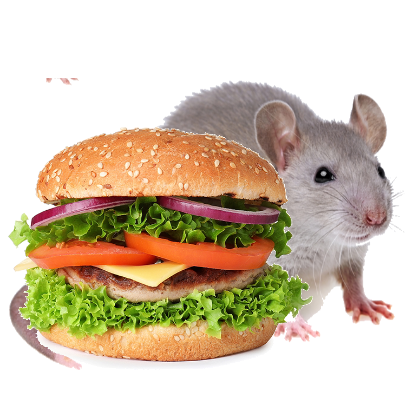 Burger Rats messages sticker-0