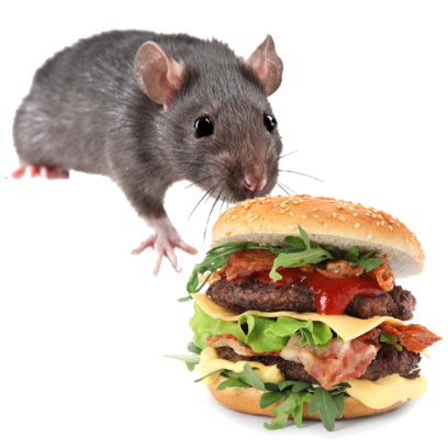 Burger Rats messages sticker-7