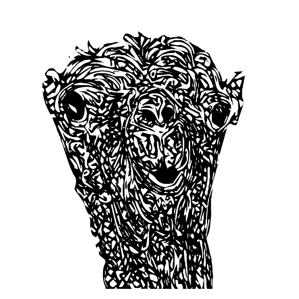 Animal Stickers for Friends messages sticker-7