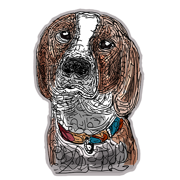 Animal Stickers for Friends messages sticker-6