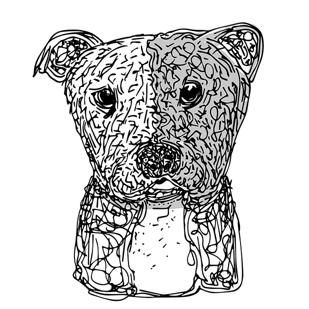 Animal Stickers for Friends messages sticker-3