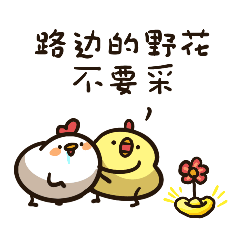 Cuckoo Chicken messages sticker-1