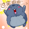 方块兔贴纸 messages sticker-11