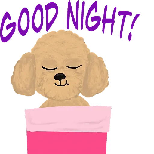 Teddy Wonder King messages sticker-2