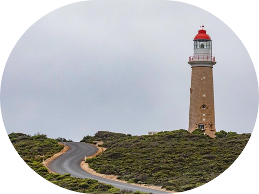 Beautiful Australian Stickers messages sticker-2
