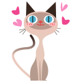 Siamese Meow messages sticker-4