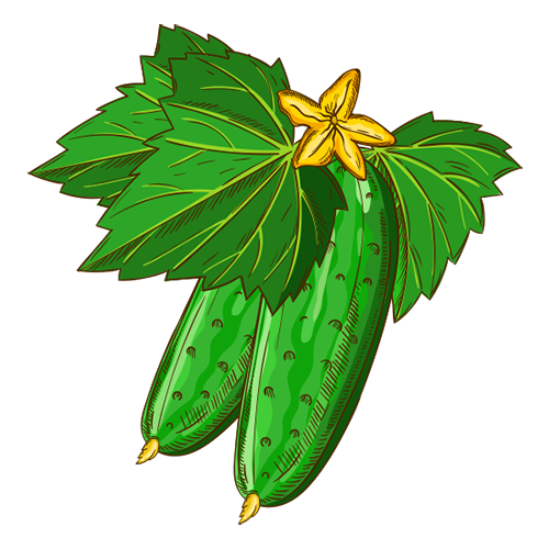 VUVATO messages sticker-2
