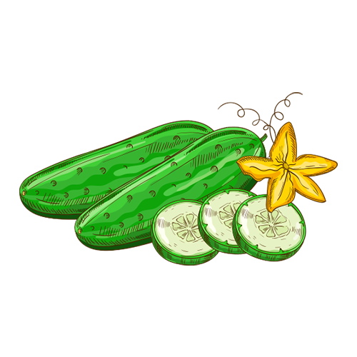 VUVATO messages sticker-1