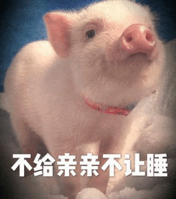 SweetSweetPig messages sticker-7