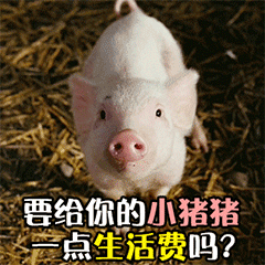 SweetSweetPig messages sticker-5