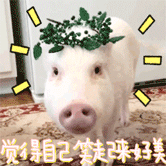 SweetSweetPig messages sticker-2