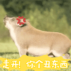 SweetSweetPig messages sticker-3