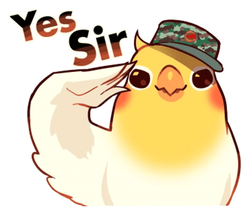 Beautiful Coca Bird messages sticker-5