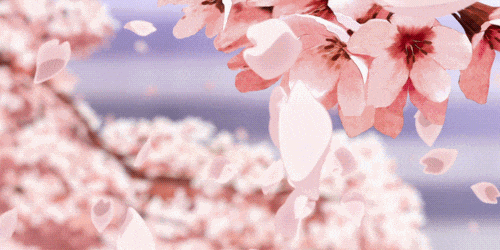 樱花校园Stickers messages sticker-4