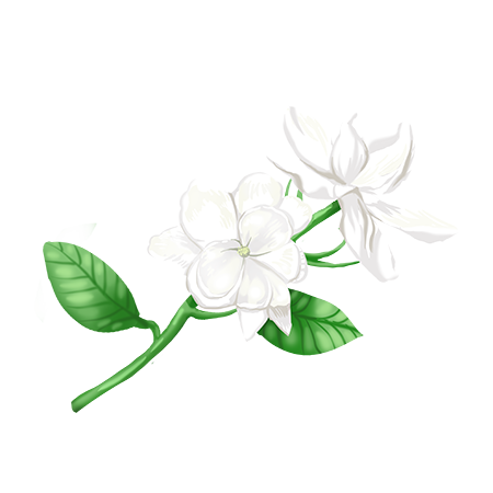 茉莉-sticker messages sticker-9