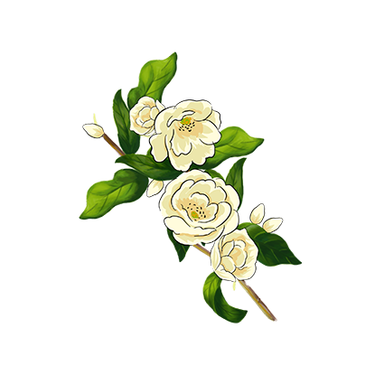 茉莉-sticker messages sticker-2