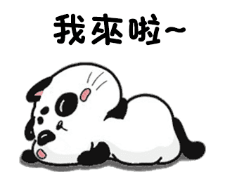 A cat like a panda messages sticker-6