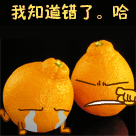 道歉表情包 messages sticker-7