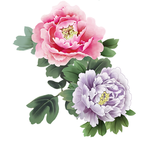牡丹转 messages sticker-8