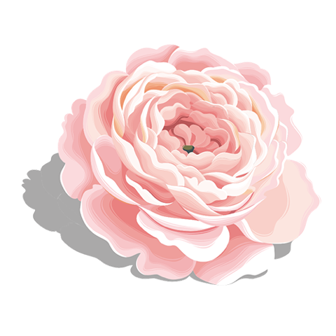 牡丹转 messages sticker-11